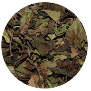 China pai mutan std. 6901