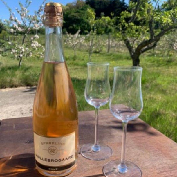 Sparkling Discovery Oak Brut